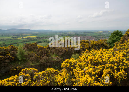 Cliff Rigg Steinbruch in der Nähe von roseberry Topping in den Hügeln von North Yorkshire, England. Stockfoto