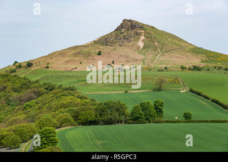 Die markanten Gipfel der Roseberry Topping in die North York Moors National Park, England. Stockfoto