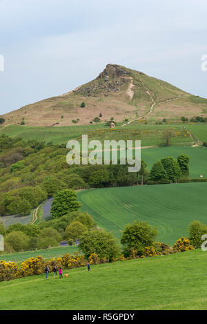 Die markanten Gipfel der Roseberry Topping an einem sonnigen Frühlingstag in der North York Moors National Park, England. Bluebells blühen. Stockfoto