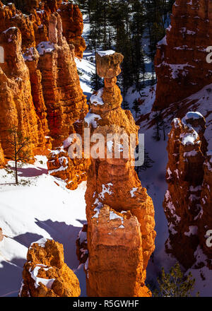 Bryce Canyon im winter Stockfoto