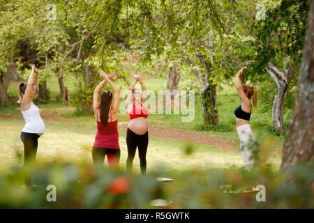 Schwangere Frauen Yoga mit Personal Trainer in Park Stockfoto