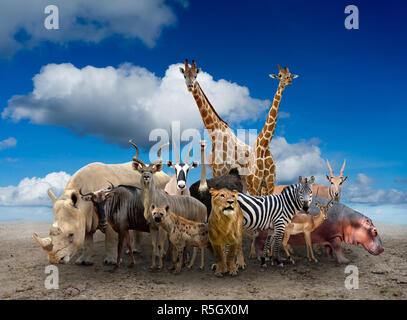 Gruppe von Afrika Tiere Stockfoto