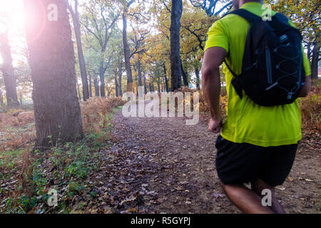 In Richmond Park - Morgen Sonnenschein an einem herbstlichen Tag Stockfoto