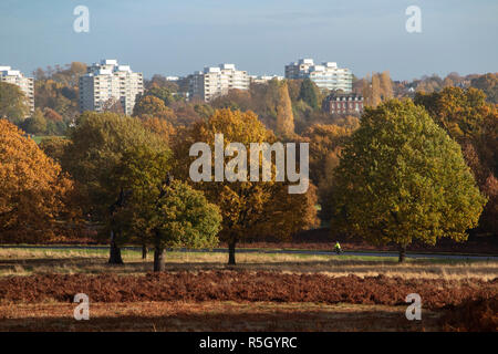 Radfahren im Richmond Park - Morgen Sonnenschein an einem herbstlichen Tag Stockfoto