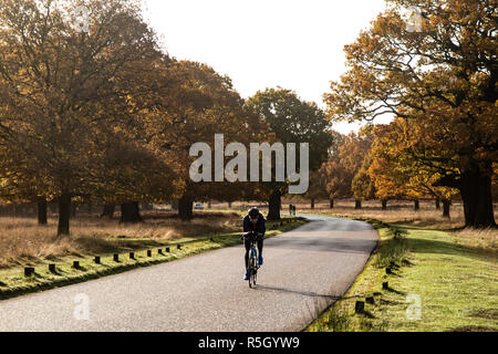 Radfahren im Richmond Park - Morgen Sonnenschein an einem herbstlichen Tag Stockfoto