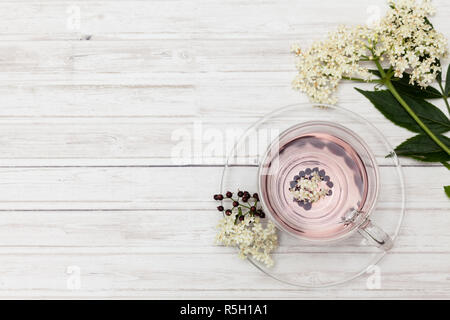 Holunder (Sambucus Nigra) Infusion im Wasser Stockfoto