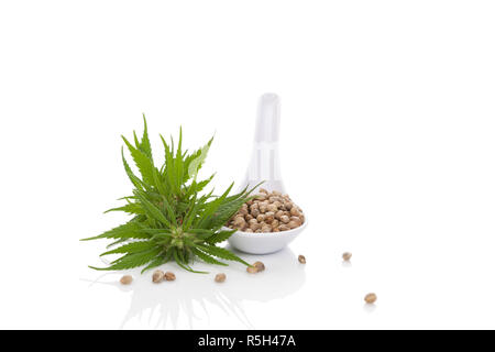 Cannabis Samen auf Löffel isoliert. Stockfoto