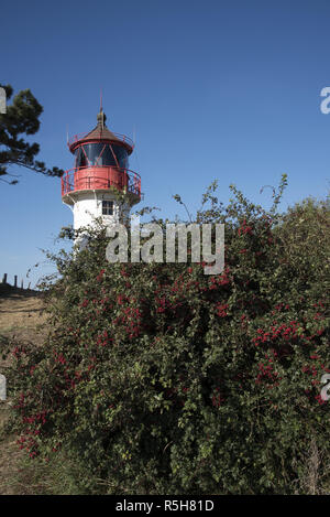 Leuchtturm Gellen im südlichen Teil von Hiddensee, das ist eine Insel in der Ostsee westlich von Deutschlands größter Insel Rügen. Stockfoto