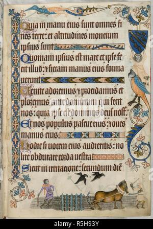 Die Eggen. Luttrell Psalter. England [East Anglia]; ca. 1325-1335. [Ganze folio] Text Seite; Psalm 94. Rn Dekoration umfasst ein Schild mit dem Luttrell Arme und eine Groteske mit einem Vogel den Kopf. Im unteren Rand, ein Mann führt ein Pferd zeichnen eine Egge; hinter ist ein Fänger, einer seiner Schüsse verläuft in der Mitte zwischen zwei Krähen. Bild von Luttrell Psalter entnommen. Ursprünglich veröffentlicht in England [East Anglia] hergestellt; ca. 1325-1335. . Quelle: Hinzufügen. 42130, f.171. Sprache: Latein. Stockfoto