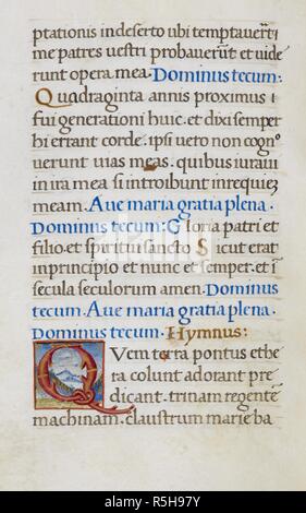 Text Seite erste 'Q'. Mirandola Stunden. Italien, ca. 1490-1499. (Ganze folio) Text Seite von den Stunden der Jungfrau. Das Ende von Psalm 94; eine Hymne, beginnend mit 'Q', die von Zweigniederlassungen gegen einen malerischen Hintergrund gebildet. Bild von Mirandola Stunden genommen. Ursprünglich veröffentlicht in Italien produziert, ca. 1490-1499. Quelle: Hinzufügen. 50002, f. 14v. Sprache: Latein. Stockfoto