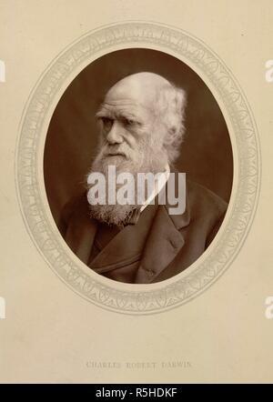 Charles Robert Darwin. Männer der Marke: eine Galerie zeitgenössischer Porträts o. Sampson Niedrig, Marston, Searle, & Rivington: London,. Charles Robert Darwin (1809-1882). Englischen Naturforscher. Autor von "Die Entstehung der Arten...", und Urheber (mit Alfred Wallace) der Theorie der Evolution. Porträt. Bild von den Männern der Marke: eine Galerie für zeitgenössische Porträts der Männer im Senat unterschieden, die Kirche, in Wissenschaft, Literatur und Kunst, die Armee, die Marine, Recht, Medizin, etc. Fotografiert vom Leben mit Schloss und Whitfield, mit kurze biographische Hinweise von Thompson Cooper. (Von G. C durchgeführt. Stockfoto