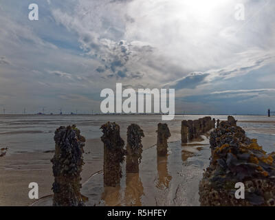 Groyne im Watt Stockfoto