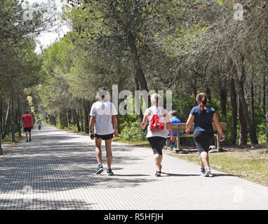 Lido di Metaponto, Riserva regionale Bosco Pantano. Provone von Matera Stockfoto