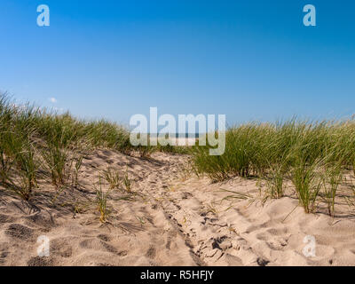Dune bedeckt mit Gras und einige Abdrücke in der Vorderseite der Noth Meer am Strand auf der Insel Texel in den Niederlanden Stockfoto