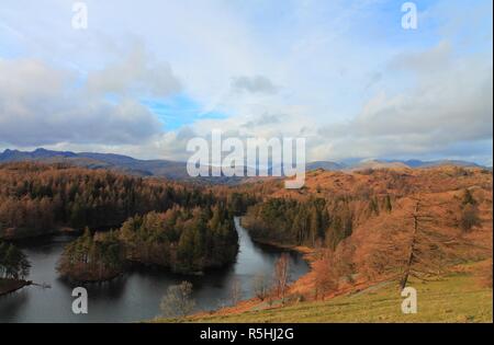 UK Coniston Cumbria GROSSBRITANNIEN. Tarn Hows in der Nähe von Coniston im englischen Lake District, Cumbria GROSSBRITANNIEN. Cumbria Furness, Lake District, englischen Lake District in Großbritannien. Stockfoto