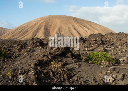 Vulkanen und Lavafeldern, die eine dramatische Landschaft mit wenig wächst hier im Nationalpark Timanfaya auf Lanzarote, Kanarische Inseln. Stockfoto