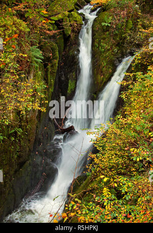 Der Umfang und die Majestät der konvergierenden Gewässer auf Lager Ghyll Kraft, Ambleside, früh im Herbst Stockfoto