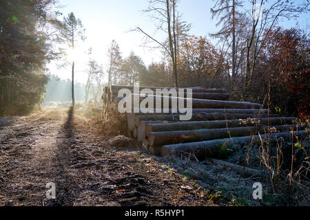 Holzstapel an der Seite der Straße, 12.00 Uhr Stockfoto