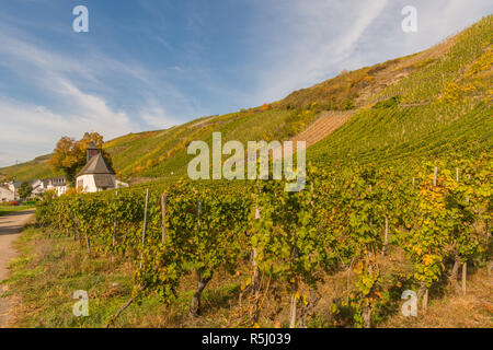 Kapelle am Fuße der Weinberge im Dorf Mehring an der Mosel und das Tal. Rhineland-Palantine, Deutschland, Europa Stockfoto