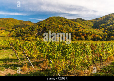 Pölich, Landschaft mit Weinbergen entlang der Mosel und des Tals in der Nähe des Dorfes Pölich, Rheinland-Pfalz, Deutschland, Europa Stockfoto