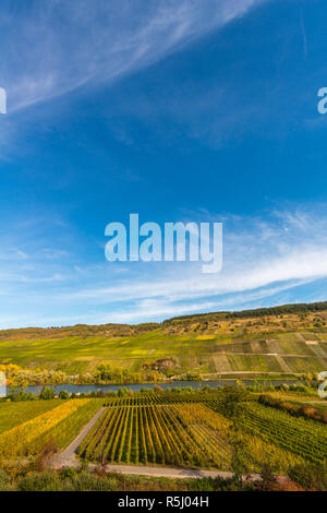 Pölich, Landschaft mit Weinbergen entlang der Mosel und des Tals in der Nähe des Dorfes Pölich, Rheinland-Pfalz, Deutschland, Europa Stockfoto