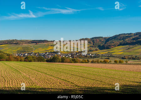 Weinberge auf dem weichen hillslopes in der Nähe von Konz an der Mosel, Rhineland-Palantine, Deutschland Stockfoto