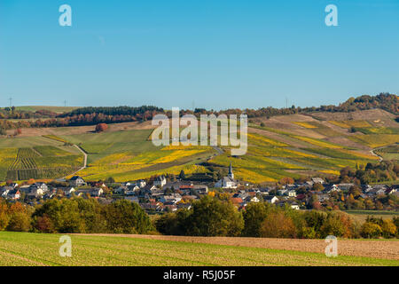 Weinberge auf dem weichen hillslopes in der Nähe von Konz an der Mosel, Rhineland-Palantine, Deutschland Stockfoto