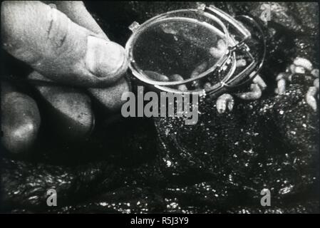 Szene aus dem Film Panzerkreuzer Potemkin von Sergej Eisenstein. Museum: private Sammlung. Autor: anonym. Stockfoto