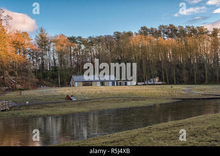 Kilmarnock, Schottland, Großbritannien - 26 November, 2018: Dean's Country Park schöne Herbst Reflexionen in Scotlands kleine Seen und Teiche mit dem Herbst Baum Stockfoto