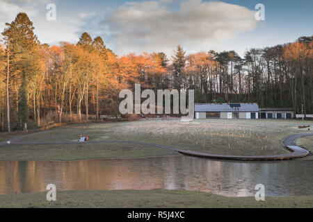Kilmarnock, Schottland, Großbritannien - 26 November, 2018: Dean's Country Park schöne Herbst Reflexionen in Scotlands kleine Seen und Teiche mit dem Herbst Baum Stockfoto
