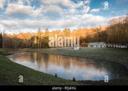 Kilmarnock, Schottland, Großbritannien - 26 November, 2018: Dean's Country Park schöne Herbst Reflexionen in Scotlands kleine Seen und Teiche mit dem Herbst Baum Stockfoto