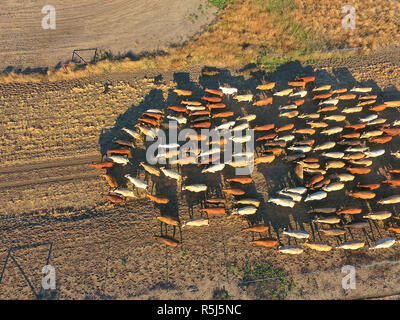 Vieh Muster NSW Stockfoto