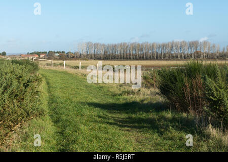 RSPB Medmerry Naturschutzgebiet an der Küste bei Medmerry, West Sussex, Großbritannien Stockfoto