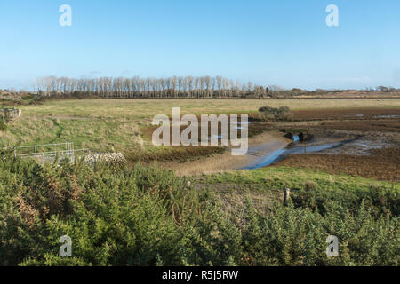 RSPB Medmerry Naturschutzgebiet an der Küste bei Medmerry, West Sussex, Großbritannien Stockfoto