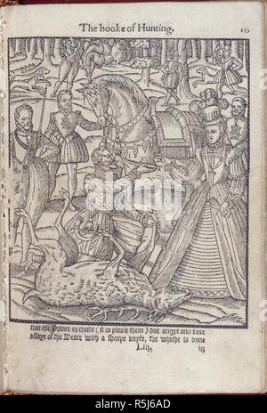 Elisabeth ich bei einer Hirschjagd. Die Edle Arte der Venerie oder Jagd. Worin h ist. London, 1575. Elisabeth ich bei einer Hirschjagd. Bild aus dem Edlen Arte der Venerie oder die Jagd genommen. Darin behandelt und die Vertues, die Natur und die Eigenschaften des fiuetene sundrie Chaces togither eingestellt, mit der Bestellung und MANER wie die Hunte und Töten euery einer von Ihnen. Übersetzt und, die aus den besten approued Autoren gesammelt und in einer solchen Ordnung und ordnungsgemäße Termes reduziert, da hier verwendet, die in diesem edlen Realme von England. Ursprünglich veröffentlicht in London, 1575 produziert. . Quelle: C. 31. g1 (2), Iiii r. Stockfoto