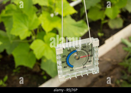 Thermometer für die Messung der Temperatur im Gewächshaus
