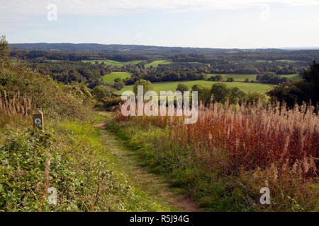 Blick über die Surrey Hills suchen von Newlands Ecke in der Nähe von Hollenstedt. Stockfoto