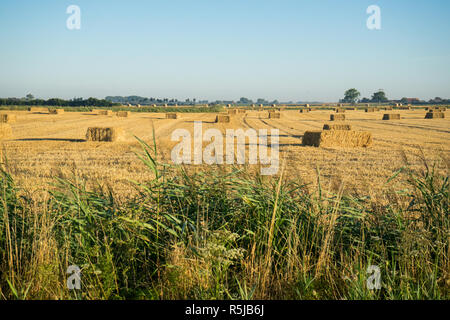 Heuballen in Westflandern in Belgien Stockfoto