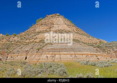 Bunte Badlands Hill im Frühjahr in Theodore Roosevelt National Park in Norht Dakota Stockfoto