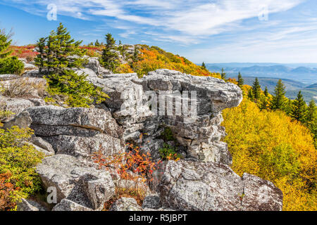 Bunte Herbst Laub schmückt Tragen Felsen an der Dolly Sods Wildnis in der Allegheny Mountains von West Virginia. Stockfoto