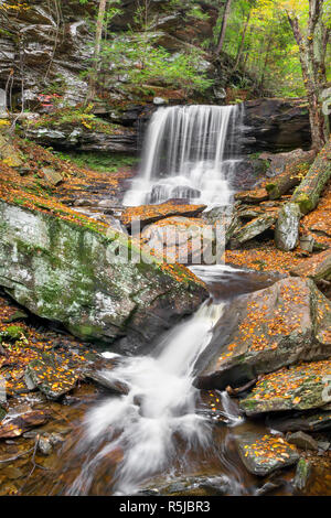 B. Reynolds fällt, eine von vielen wunderschönen Wasserfälle in Pennsylvania Ricketts Glen State Park, Spritzer durch eine felsige Herbst Landschaft. Stockfoto