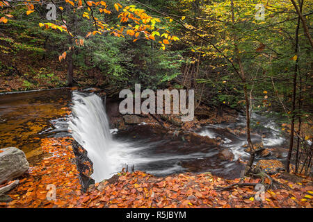 Oneida fällt, einem wunderschönen Wasserfall in Ganoga Glen an der Pennsylvania Ricketts Glen State Park, fließt durch einen Herbst Landschaft als von oben betrachtet. Stockfoto