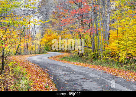 Ein Asphalt Straße schlängelt sich durch einen Wald im späten Herbst Farben gemalt.. Stockfoto