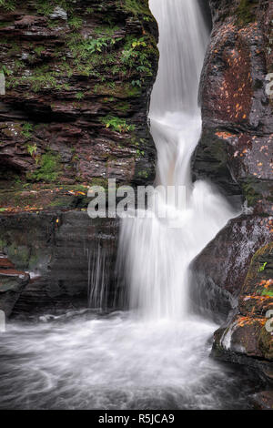 Adams fällt, eine von vielen wunderschönen Wasserfälle in Pennsylvania Ricketts Glen State Park, Spritzer durch eine felsige Schlucht. Stockfoto