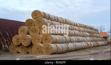 Runde Heuballen aufgereiht an der Seite eines Feldes. Stockfoto