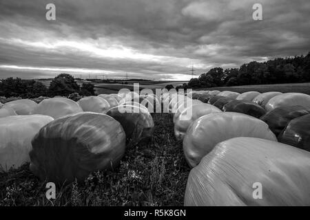 Vorbereitung für den Winter. In Kunststoff verpackt, Ballen Stroh. Schwarz und Weiß. Stockfoto