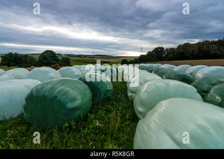 Vorbereitung für den Winter. In Kunststoff verpackt, Ballen Stroh. Stockfoto