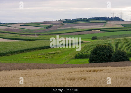 Ein Blick auf den Feldern rund um die Stadt Neustadt (Landkreis Marburg-Biedenkopf in Hessen) und die umliegenden landwirtschaftlichen Flächen. Stockfoto