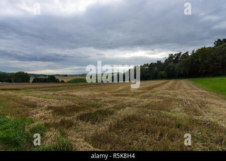 Ein Blick auf den Feldern rund um die Stadt Neustadt (Landkreis Marburg-Biedenkopf in Hessen) und die umliegenden landwirtschaftlichen Flächen. Stockfoto