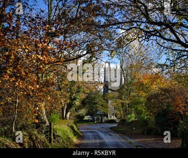 Herbst im Norden Petherwin Stockfoto